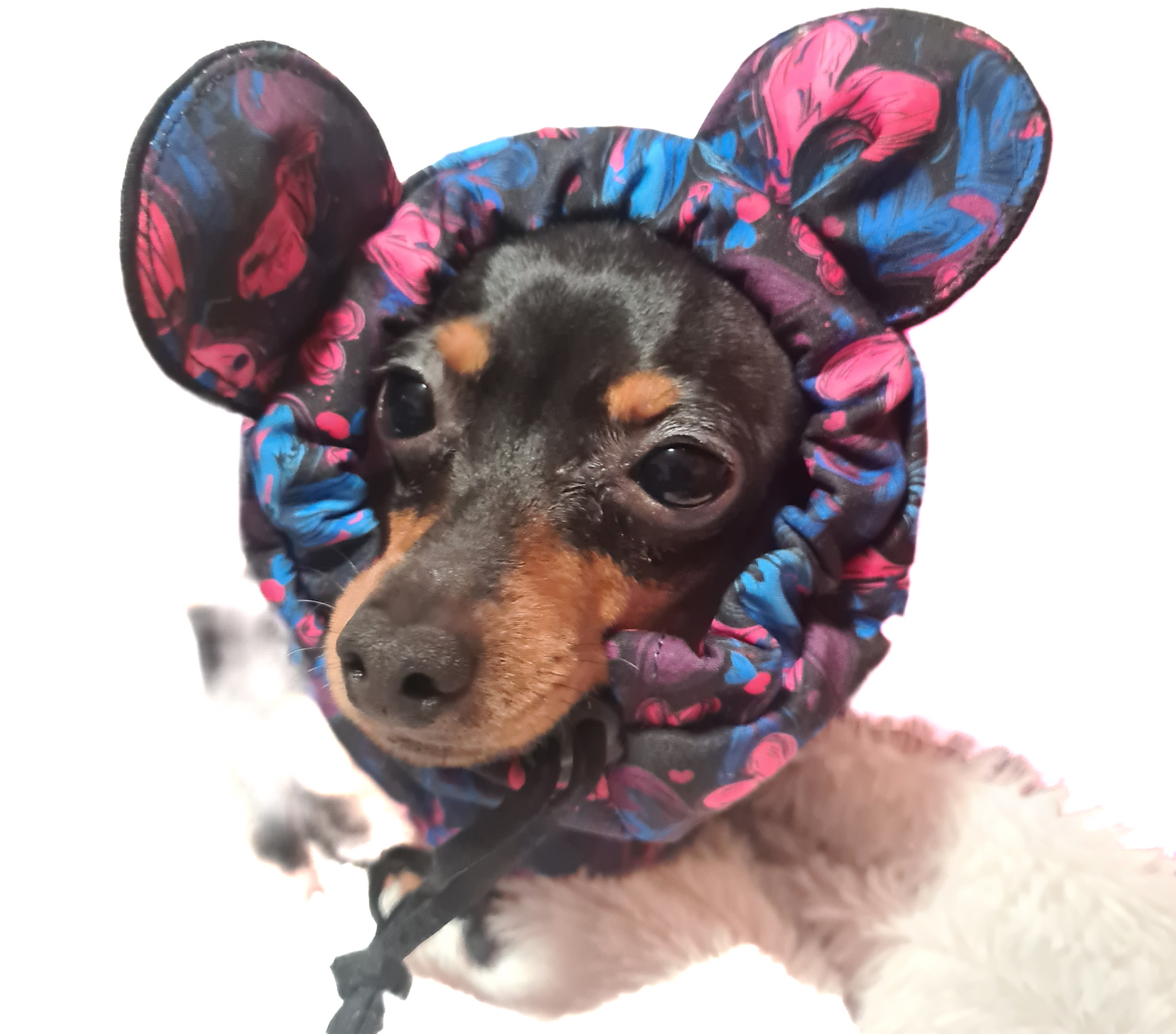 snood so softshellu, vzor srdiečka, foto na psovi